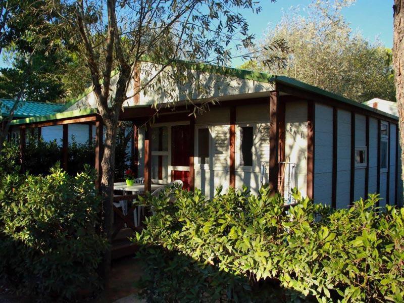 Camping Village Free Time Marina Di Bibbona Εξωτερικό φωτογραφία