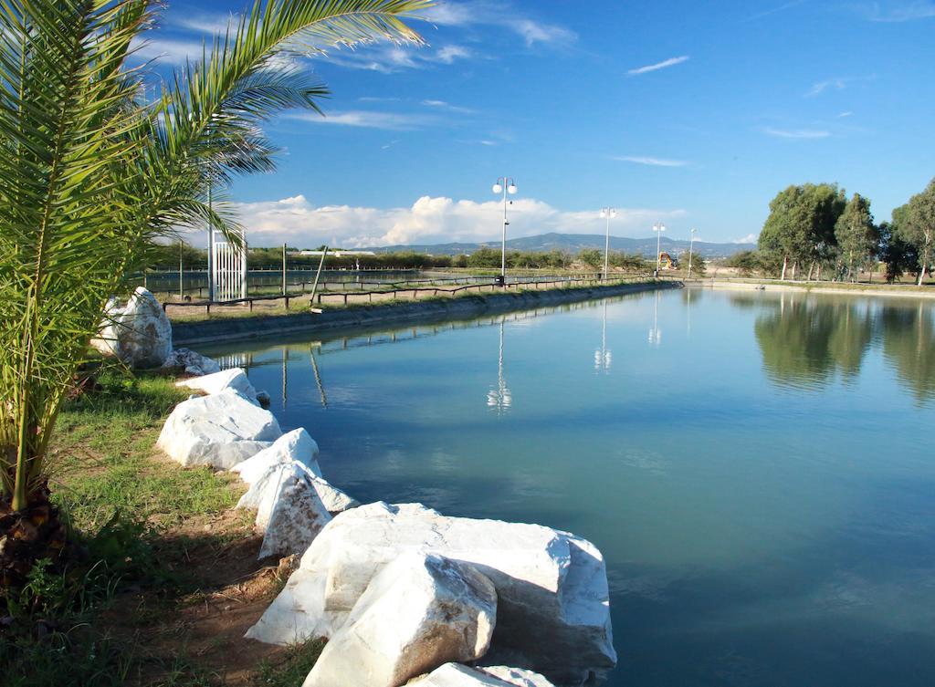 Camping Village Free Time Marina Di Bibbona Εξωτερικό φωτογραφία