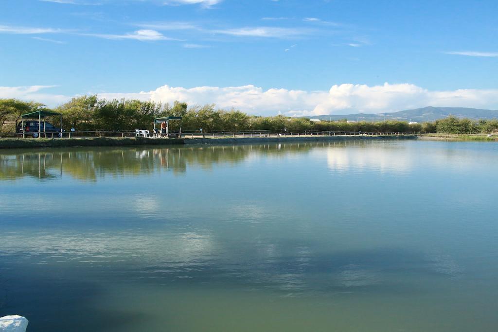 Camping Village Free Time Marina Di Bibbona Εξωτερικό φωτογραφία