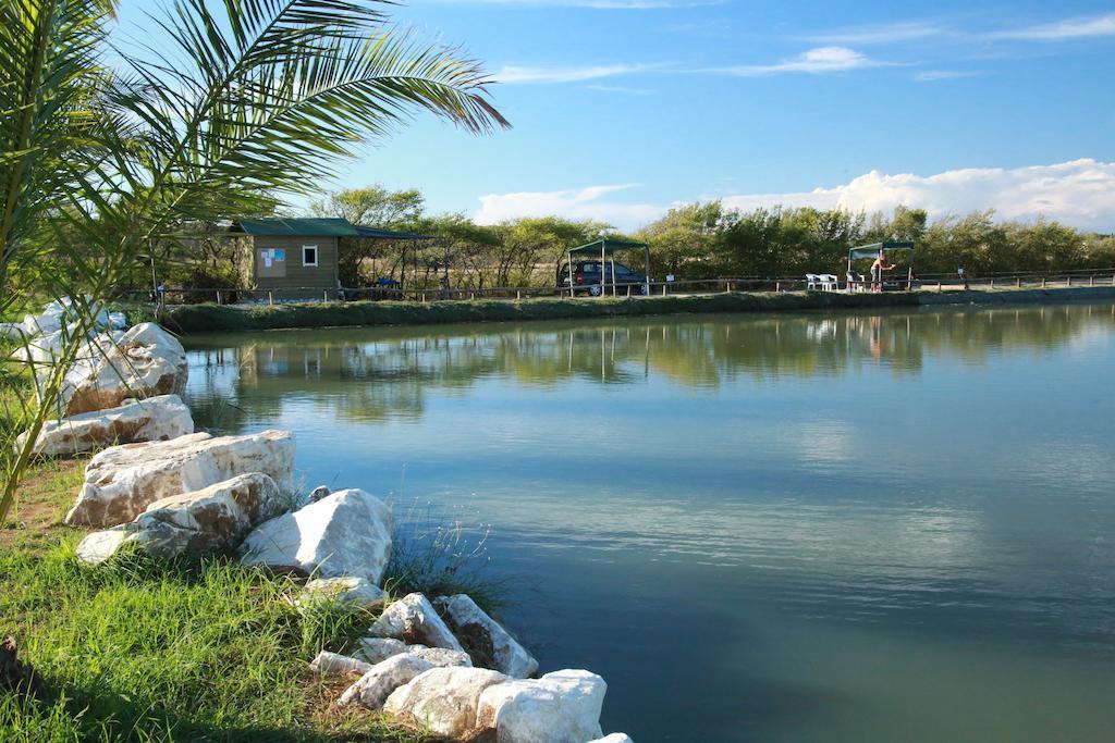 Camping Village Free Time Marina Di Bibbona Εξωτερικό φωτογραφία