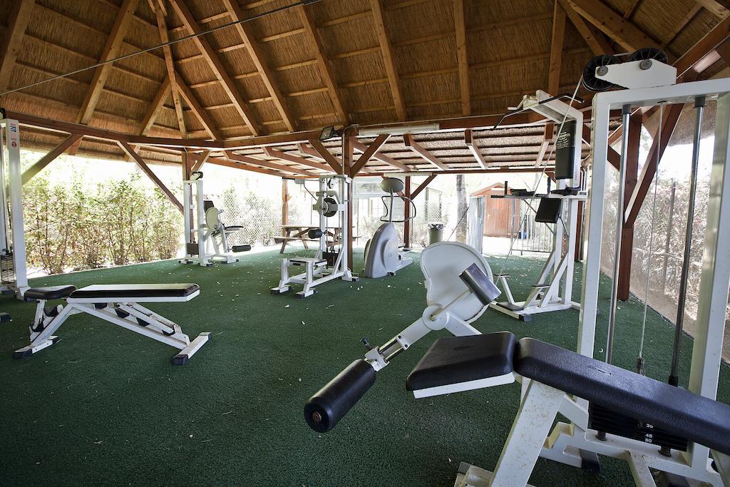 Camping Village Free Time Marina Di Bibbona Εξωτερικό φωτογραφία